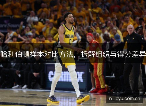 哈利伯顿样本对比方法，拆解组织与得分差异